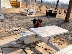 -安德鲁户外烧烤帐篷营地(马泉营店)