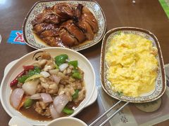烧鸭-聂记粤菜馆(鼓西路店)