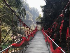-黄山翡翠谷景区