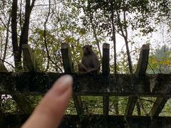 -黔灵山公园