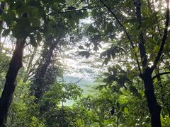 -阳台山森林公园