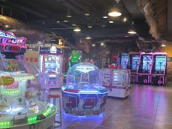 -卡通尼·Safari非洲探索乐园·生日会(金桥国际商业广场店)