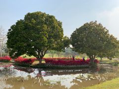 -中国科学院西双版纳热带植物园