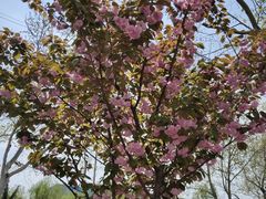 -青岛市体育产业发展中心全民健身中心