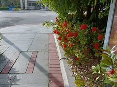 -华侨大学(厦门校区)