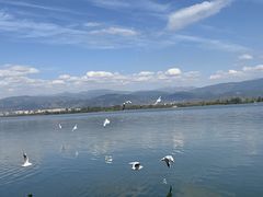 -西昌邛海湿地