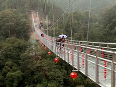 -九龙江国家森林公园