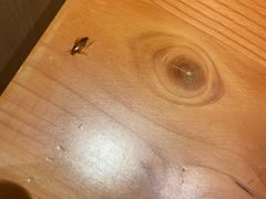 -文三酒肆自助放题(新街口友谊广场店)