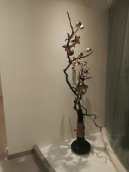 -康颜SPA自然疗愈皮肤管理中心