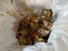 炒花螺-香山家宴