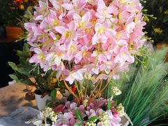 -LYFATTI 莱芙缇(赣水路店)