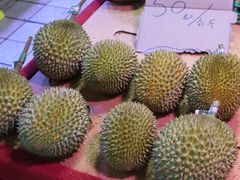 -五里多农博广场