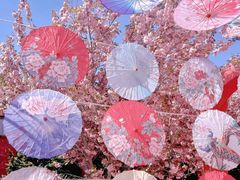 -石岛赤山风景区