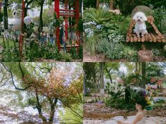 -上海鲜花港