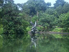 -新加坡植物园