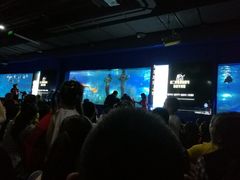 -重庆欢乐海底世界