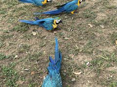 -石家庄市动物园