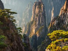 -鱼桥巷·美学川菜