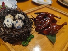 -广州富力君悦大酒店空中花园