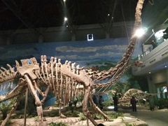 -自贡恐龙博物馆