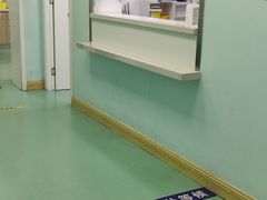 -北京观赏动物医院·24小时大型综合·猫专科·异宠专科