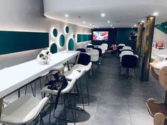 大堂-飞行喵MR PILOT|猫舍·猫咖(静安大融城店)