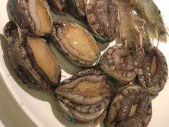 小鲍鱼-加餐海鲜自助(宝龙一城店)