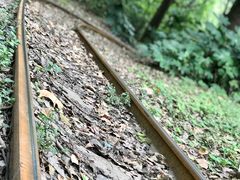 -共青国家森林公园-南大门停车场