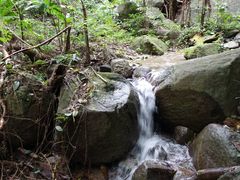 景点-七仙岭温泉国家森林公园