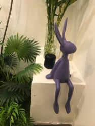 -FUMEIHUI·科技美肤·美体SPA