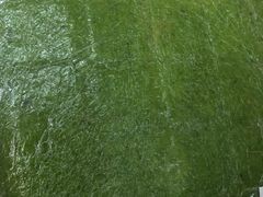 -一品方糕专卖店