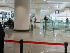 -麦当劳(北京大兴机场二层国内到达(安检外)店)