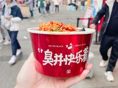 -黑色经典臭豆腐·湖南特产(坡子街店)