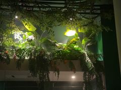 -泰乐道·SPA·按摩·足道(坡子街店)