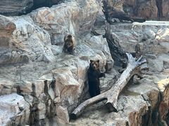 -珠海长隆海洋王国