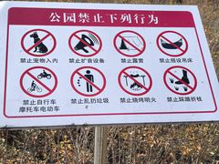 -群力丁香公园