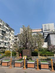 -首都医科大学附属北京儿童医院