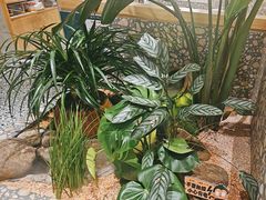 -相遇·川湘融合菜(丹阳吾悦广场店)