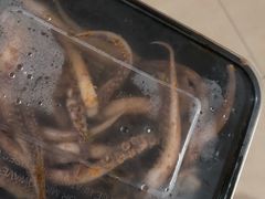 -臻鲜燕海鲜融合餐厅(金陵style店)