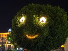 -特克斯八卦城