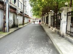 -刘胖子家常菜·蹄花焖藕(中南店)