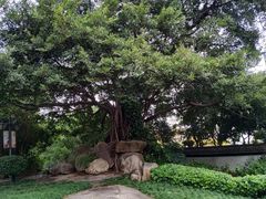 -乌山风景区