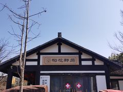 -香雪海