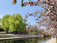 -元大都城垣遗址公园