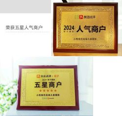 -小熊维尼高端儿童摄影(南山信和店)