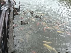 -珠海圆明新园