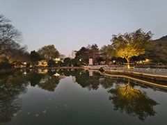 -西湖游船