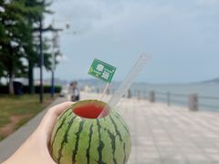 -悦海公园