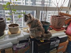 -美联众合爱康动物医院•复杂内科•肿瘤科•牙科•腔镜诊疗中心