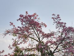 -桂小厨广西菜(水晶城店)